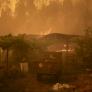 El gráfico sobre la magnitud de los incendios de este verano que deja sin palabras