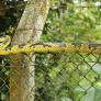 Una madre se asoma a la cuna y en lugar de su bebé se topa con una serpiente tan enorme como ágil