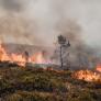 El humo de los incendios forestales puede ser más letal que el fuego: cómo protegerse de sus partículas tóxicas
