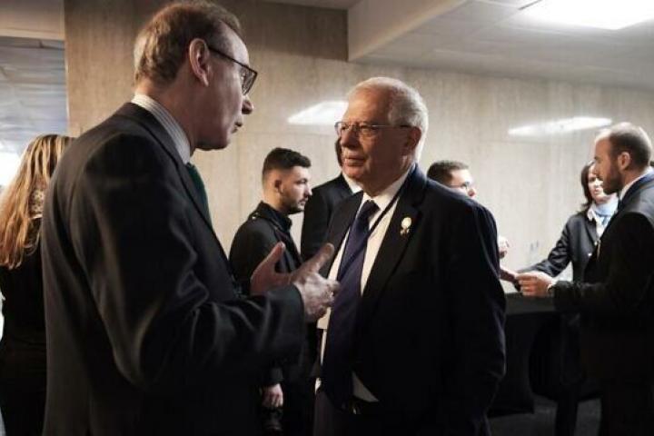 Borrell y Mora