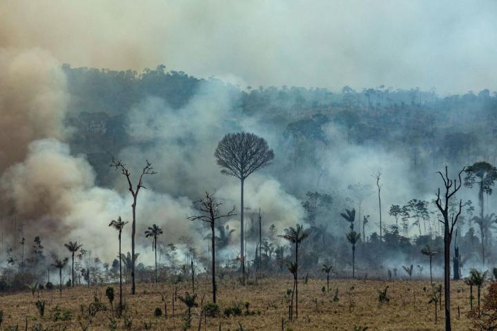 El humo inunda la Floresta Nacional do Jamanxim en el estado de Pará, el 23 de agosto de 2019.