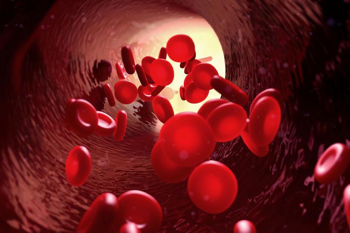 3d illustration blood in blood vessel