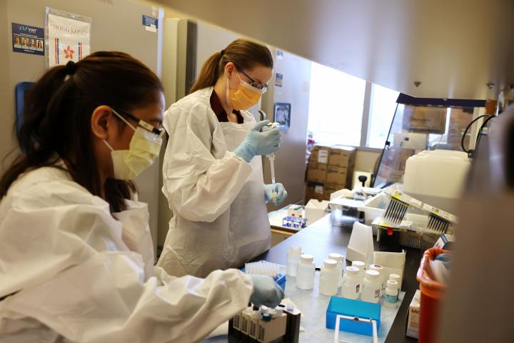 Científicas de la farmacéutica durante los ensayos clínicos de la fase 3 de la vacuna de Novavax
