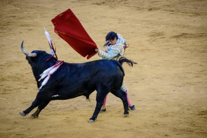 Tauromaquia.