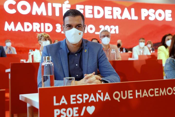 Pedro Sánchez, en el Comité Federal del PSOE