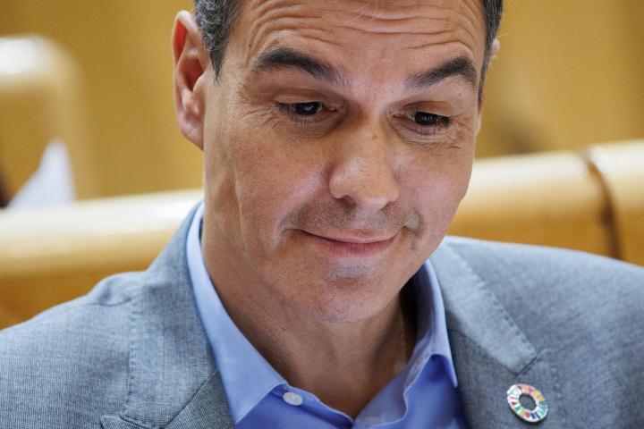 Pedro Sánchez, en el Senado.