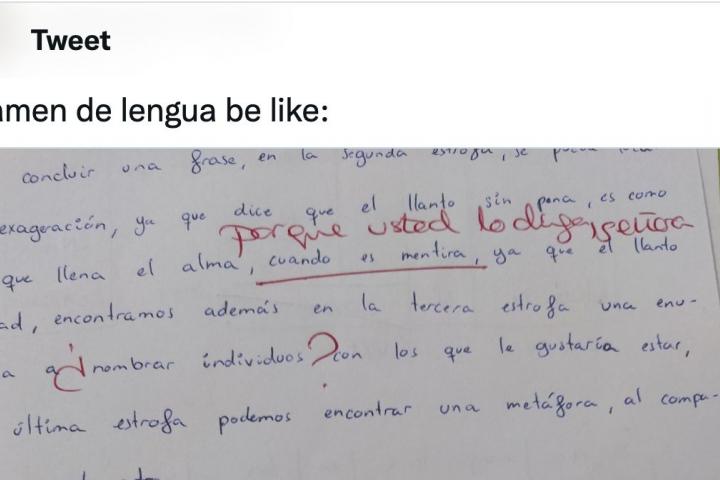 Captura con parte de un examen de Lengua.