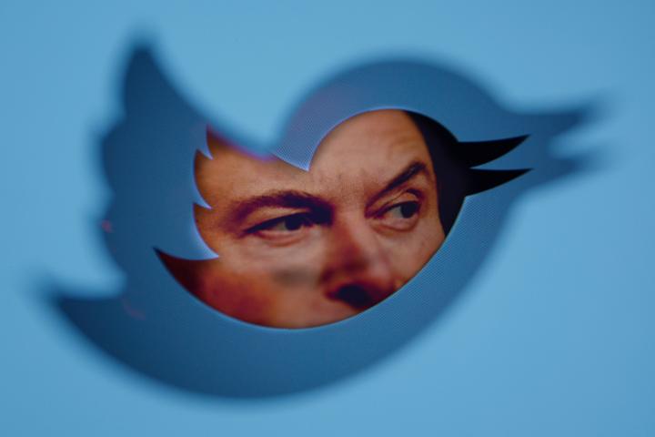 El rostro de Elon Musk, detrás del característico pájaro azul de Twitter.