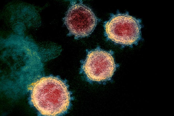 Imagen del coronavirus 
