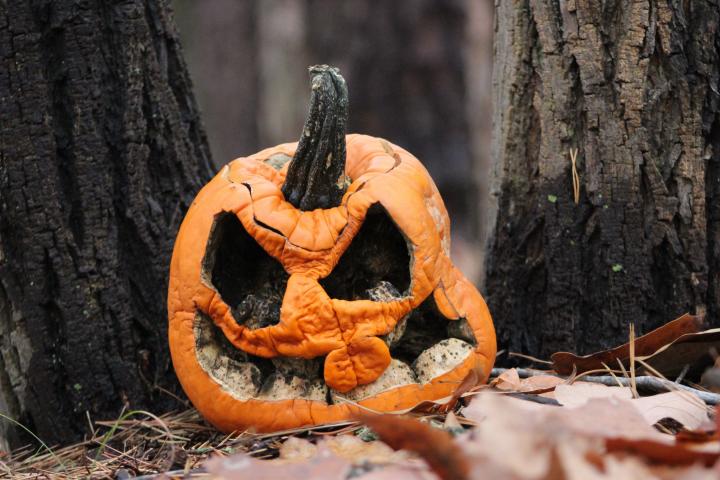 Samaín o cómo recuperar el Halloween autóctono en Galicia Samaín o cómo recuperar el Halloween autóctono en Galicia