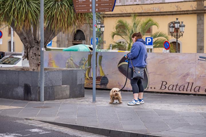 Una mujer con un perro en Santa Cruz de Tenerife. 