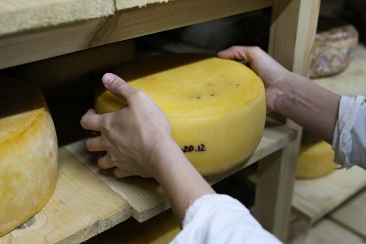 Elegir el mejor queso, una cuestión de gusto (y olfato)
