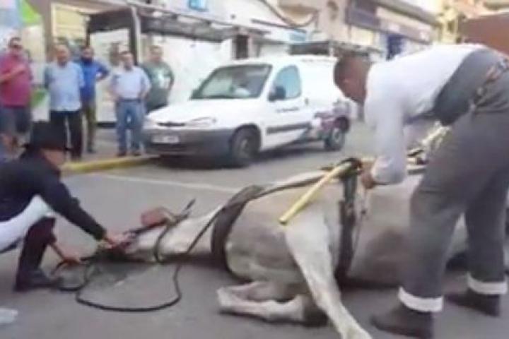 Captura del vídeo difundido en las redes sociales, obtenido por 'La Línea Información'.