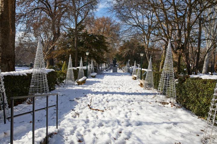 El Jardín Botánico, tomado por la nieve durante el temporal del pasado enero