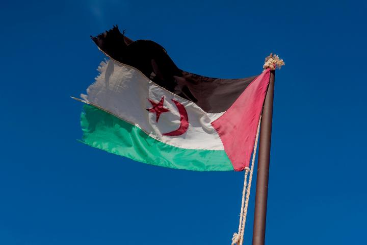 Bandera saharaui.