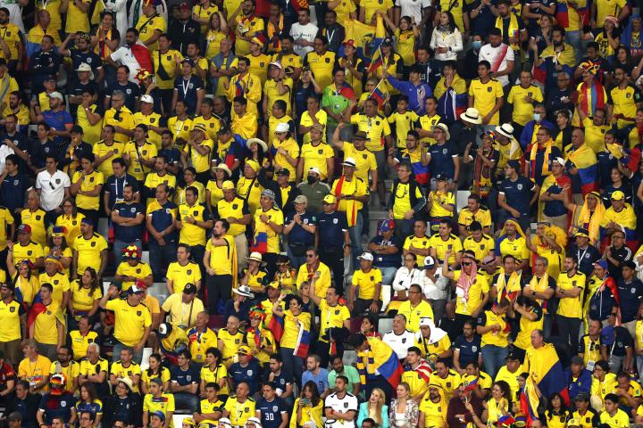 DOHA, QATAR - NOVEMBER 25: Ecuador fans show their support during the FIFA World Cup Qatar 2022 Group A match between Netherlands and Ecuador at Khalifa International Stadium on November 25, 2022 in Doha, Qatar. (Photo by Lars Baron/Getty Images)