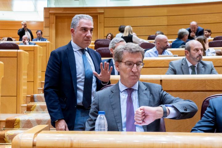 Elías Bendodo, coordinador general del PP, y Alberto Núñez Feijóo, presidente del PP, en el Senado.