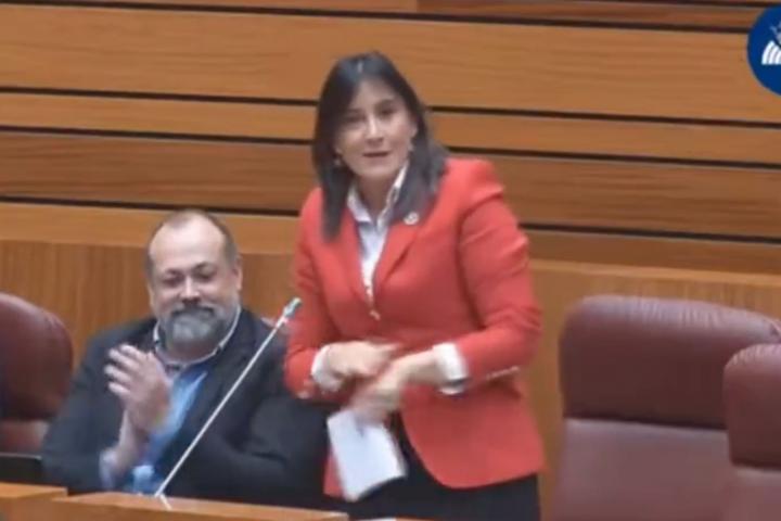 Ana Sánchez (PSOE) en un pleno de las Cortes de Castilla y León