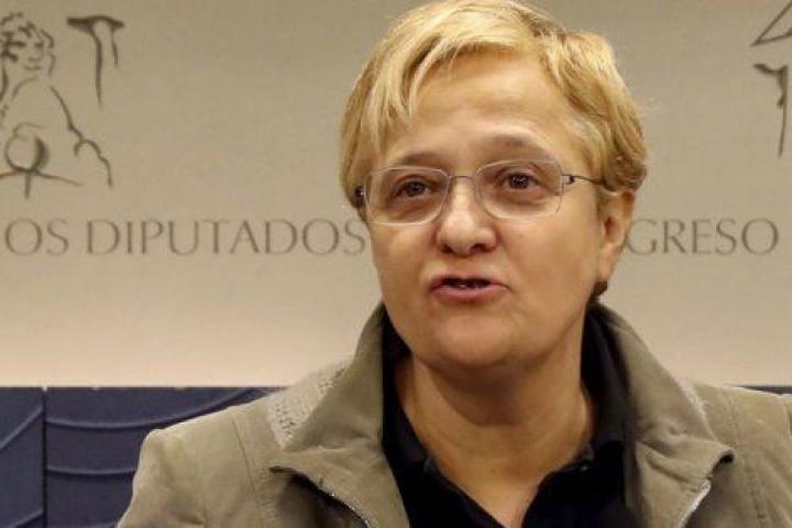 La diputada socialista Ángeles Álvarez en el Congreso.