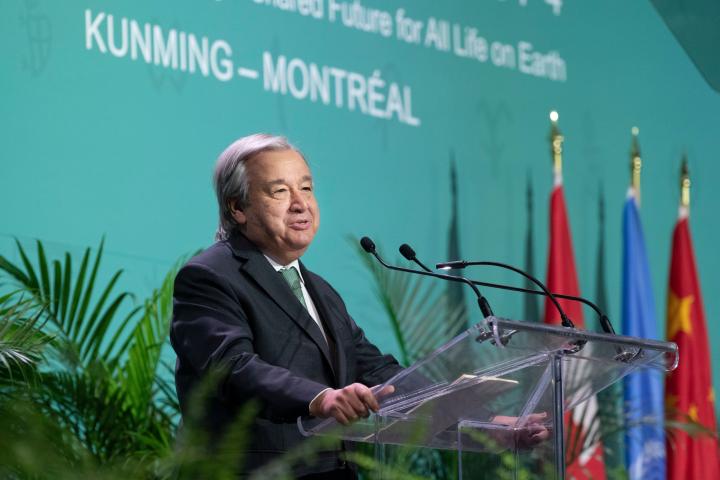Paul Chiasson/The Canadian Press via AP
