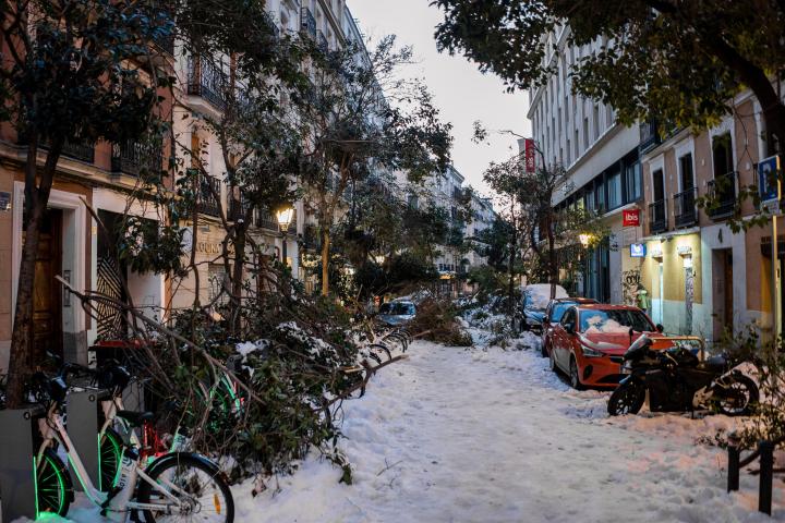 Una calle de Madrid con árboles caídos por la nieve de la tormenta Filomena.