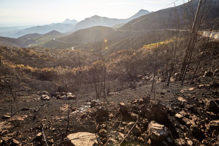 El incendio forestal de la Vall d'Ebo.