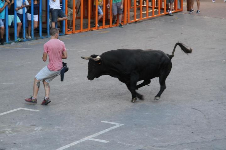Festejo taurino.