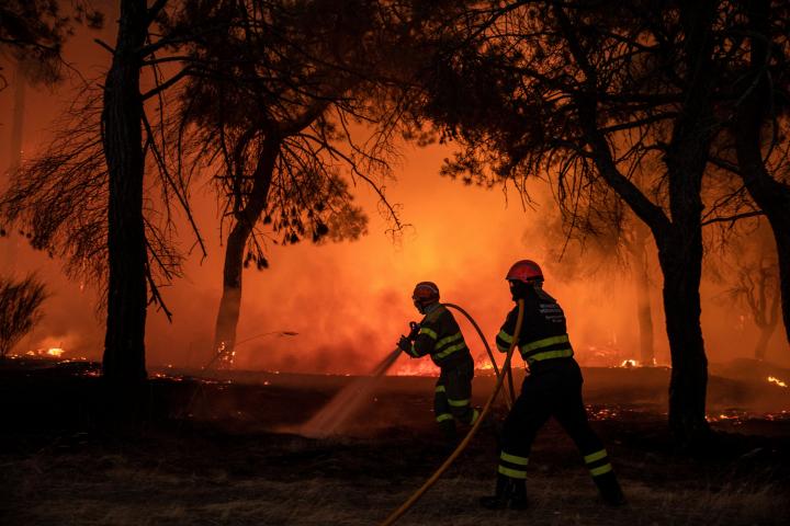 Brigadas de incendios forestales.