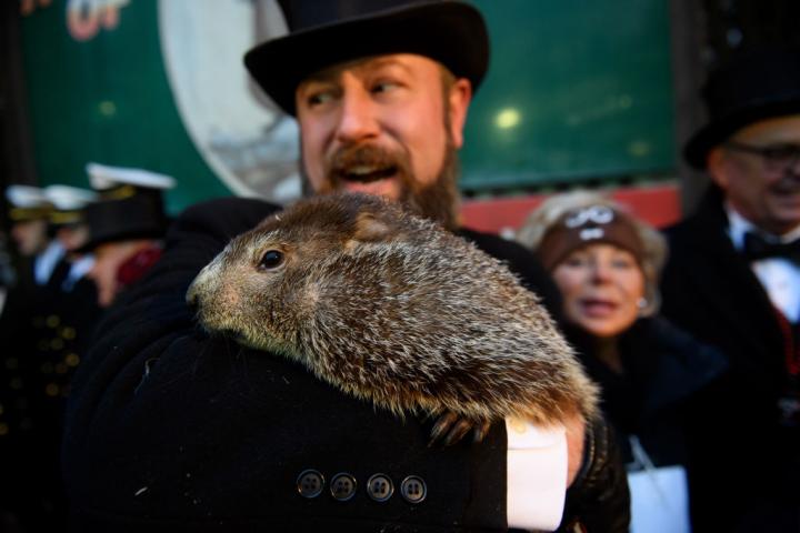 Imagen de archivo de Phil, la marmota que marca el final del invierno en Estados Unidos.