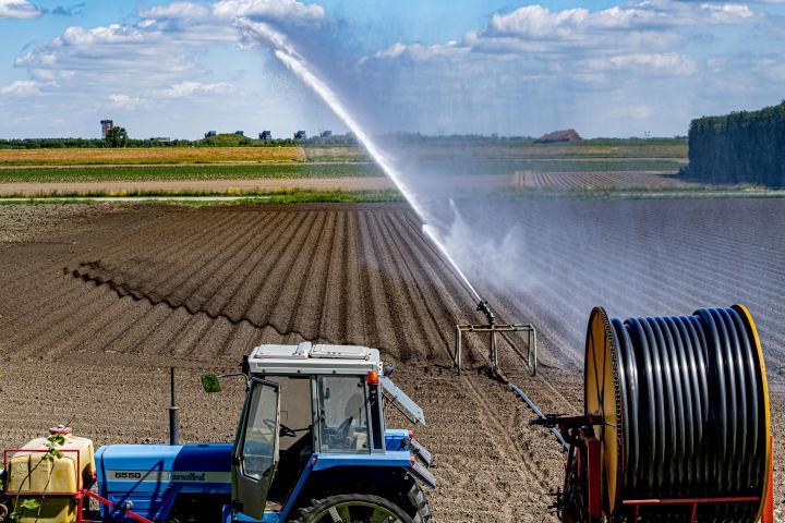 Regadío en una plantación de patatas