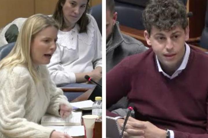 Javier Guardiola y Elisa Vigil, en la comisión de la Asamblea de Madrid.