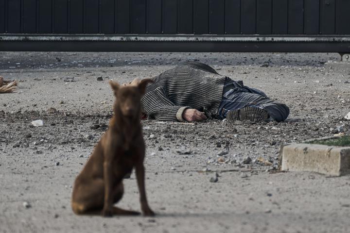 Un perro callejero se sienta cerca del cadáver de un vecino de Jersón, muerto por un bombardeo, el 3 de febrero de 2023.