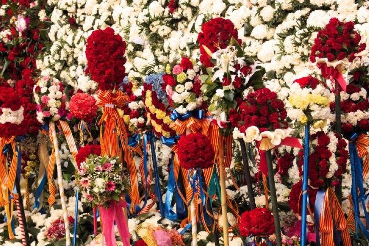 Fallas de Valencia 2023: Programa del sábado 18 de marzo