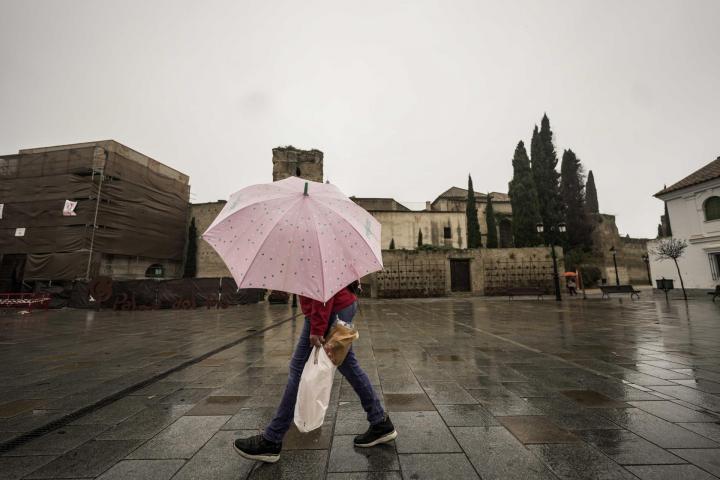 Una persona camina tapándose de la lluvia con un paraguas, en Palma del Río (Córdoba).