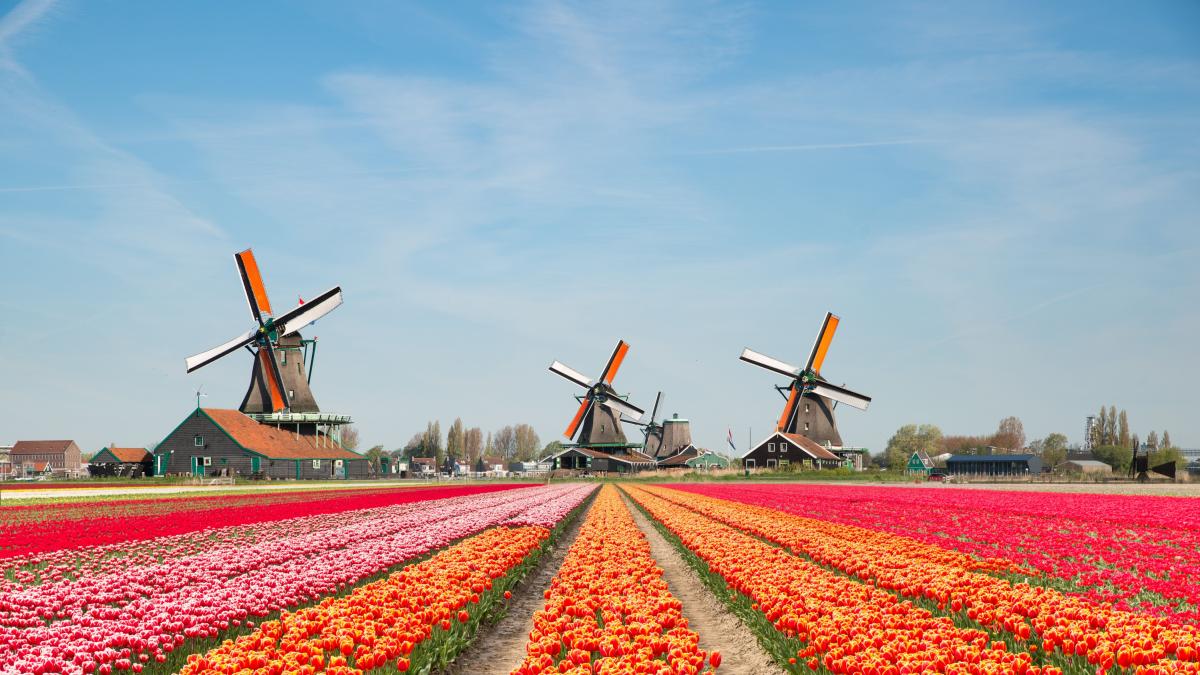 Holanda ya no se llamará Holanda