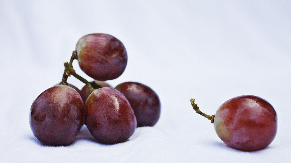 Cómo se debe calentar la comida en el microondas con tapa o sin tapa? -  Ciencia - Vida 