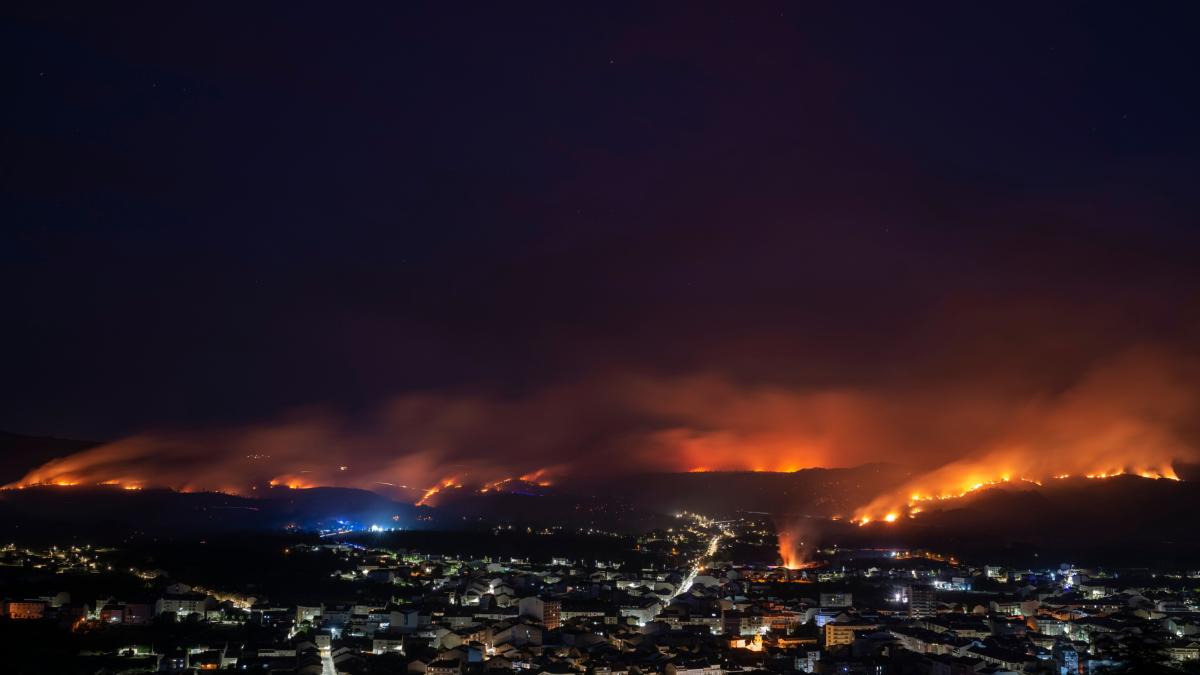 Los incendios arrasan más de mil hectáreas en Galicia, 600 de ellas en ...