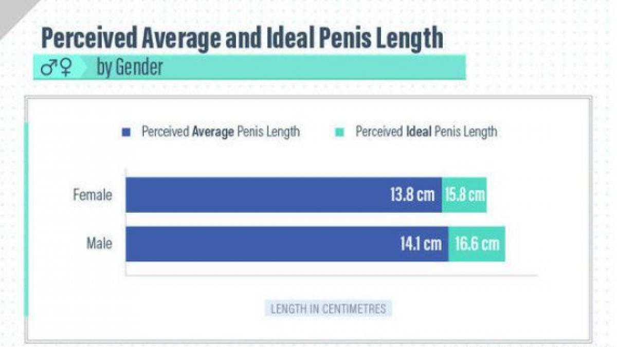 El tamaño ideal del pene en 10 países