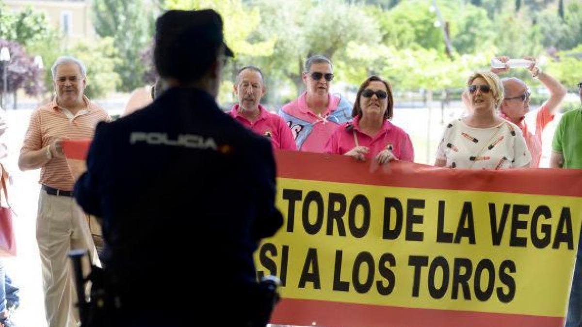 La prohibición de matar en público al Toro de la Vega se convierte en ley