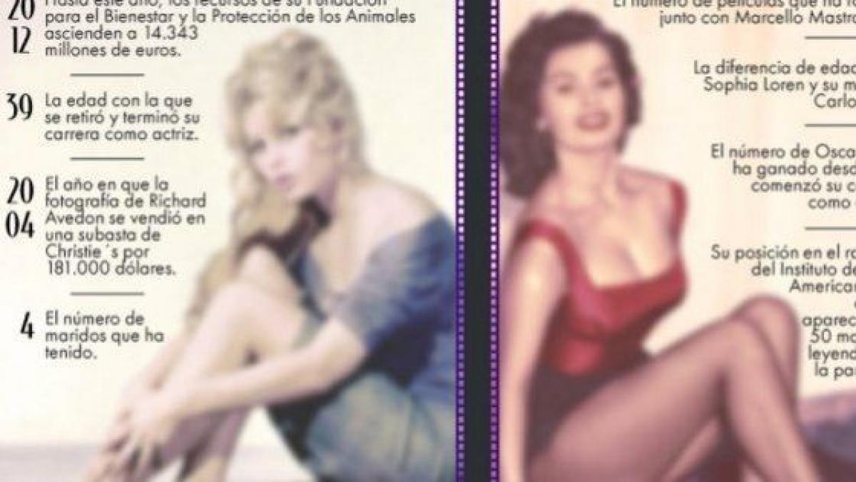 Brigitte Bardot y Sofia Loren cumplen 80 años: semejanzas y diferencias  (INFOGRAFÍA)