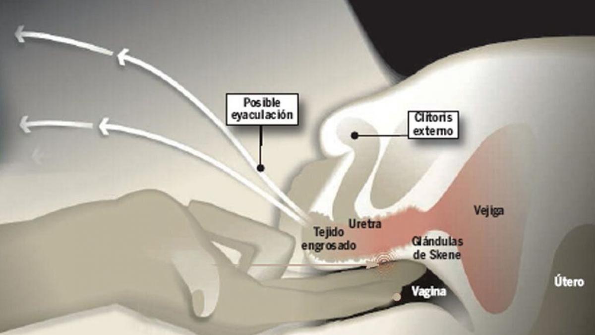 Ni cataratas como en el porno ni pis: lo que tienes que saber de la eyaculación  femenina