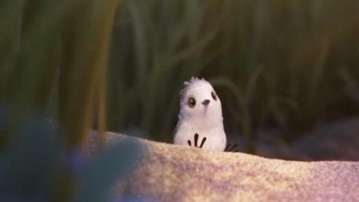 engranaje Post impresionismo Sabroso Pixar estrena 'Piper', uno de los cortos más bonitos de Disney