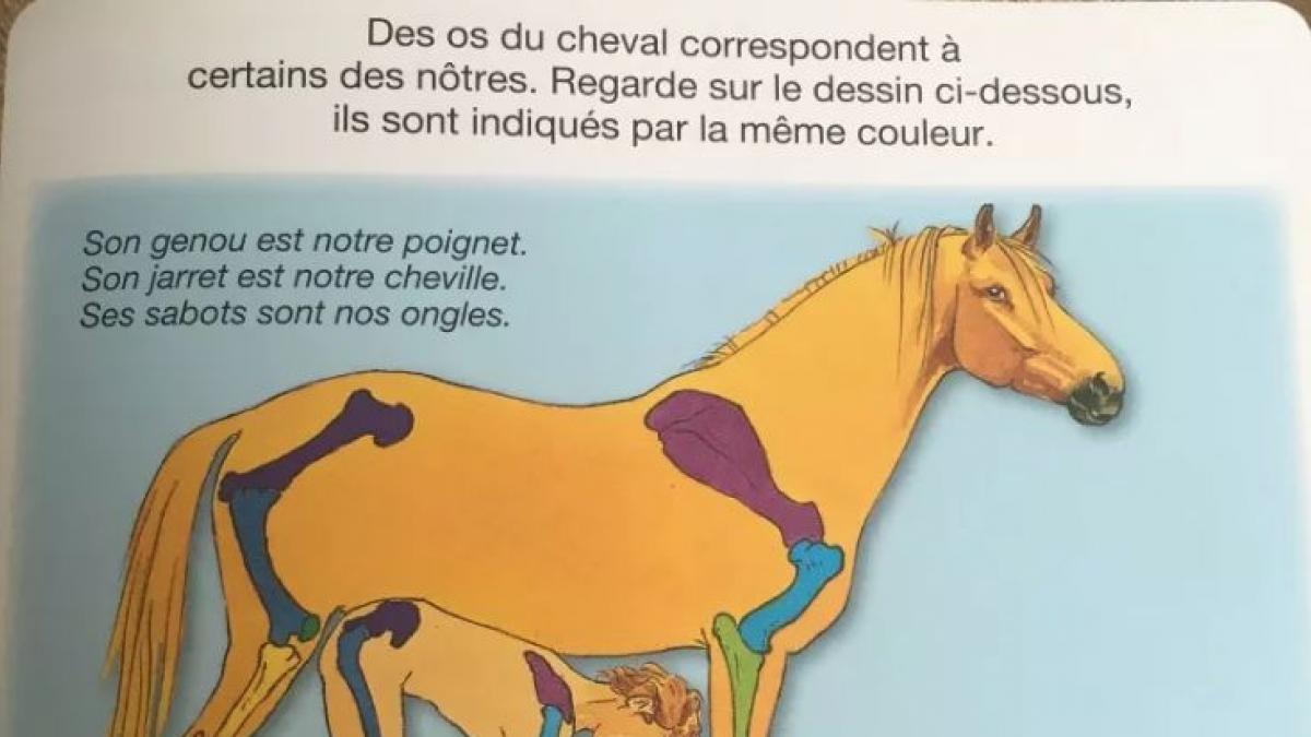 La historia de la compartida imagen del caballo de este libro infantil