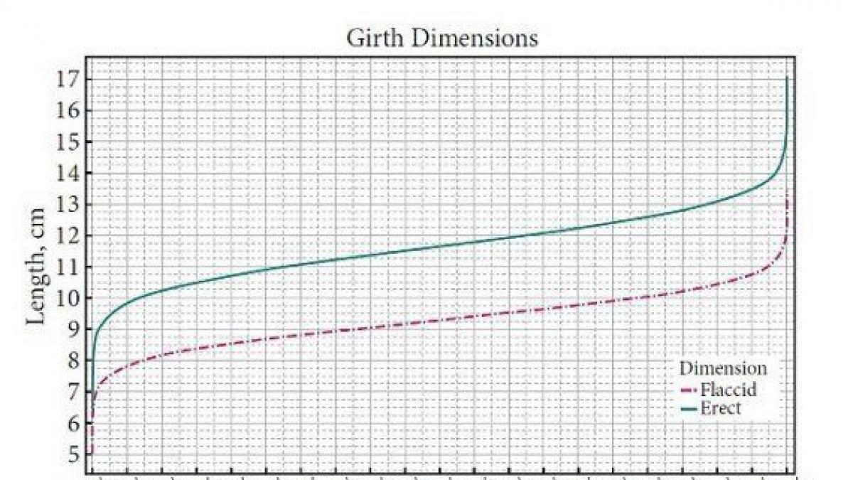 Cuánto mide un pene normal? Un nuevo estudio da datos más precisos
