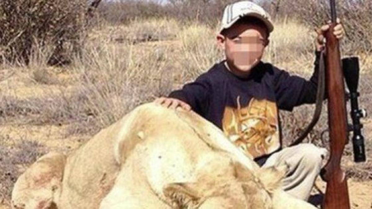 Críticas a un cazador por publicar fotos de sus hijos con leones muertos