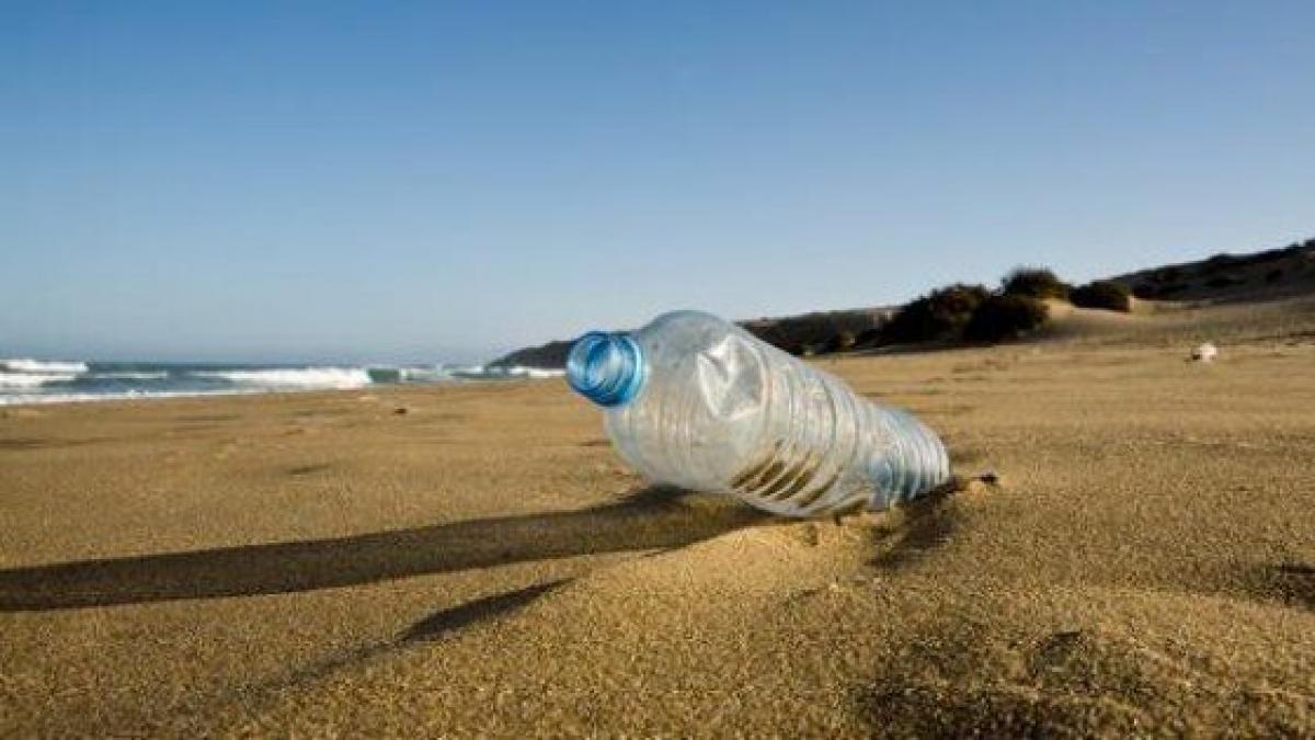 Las botellas que te ayudarán a olvidar el plástico y llevar
