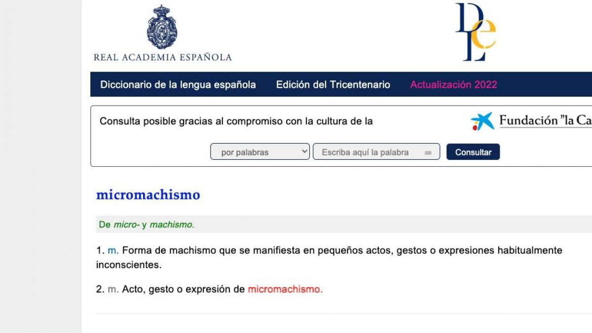 Micromachismo o puntocom, algunas de las nuevas palabras que la