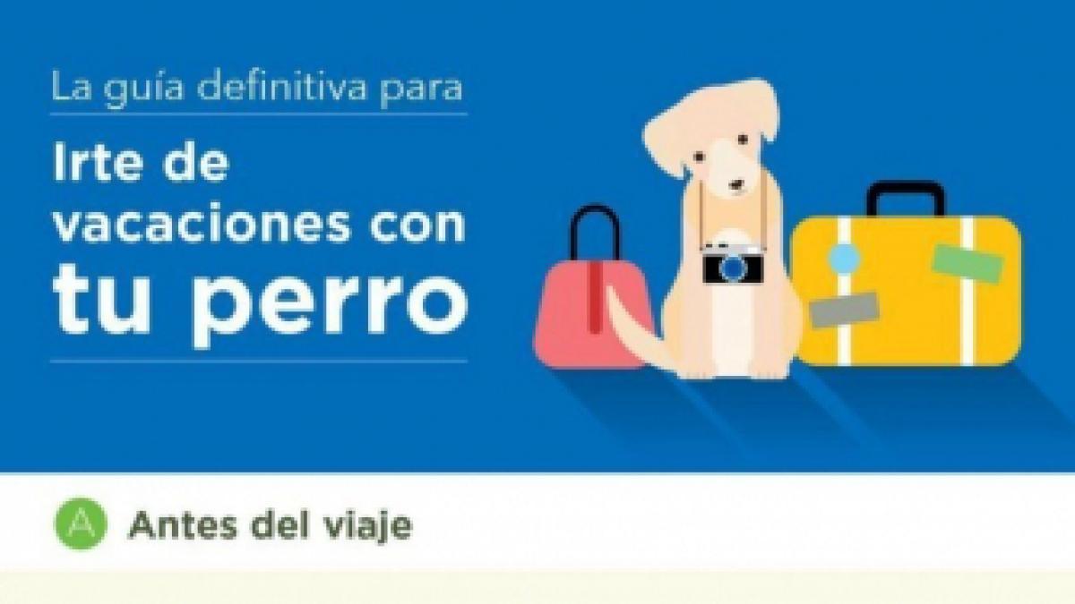 Consejos Para Viajar Con Perros