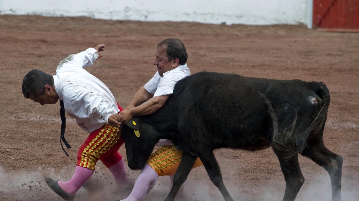 El fin de los enanos toreros: ¿adiós a una humillación o a un modo de vida?