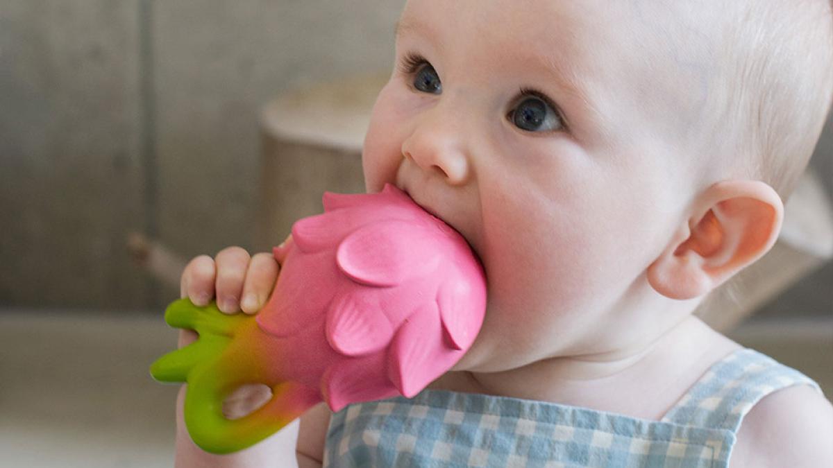 Mordedores de bebe de frutas y verduras